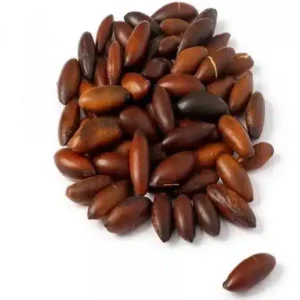 Castanha de Baru Torrada sem sal