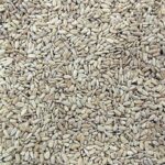 Semente de Girassol sem Casca 1Kg